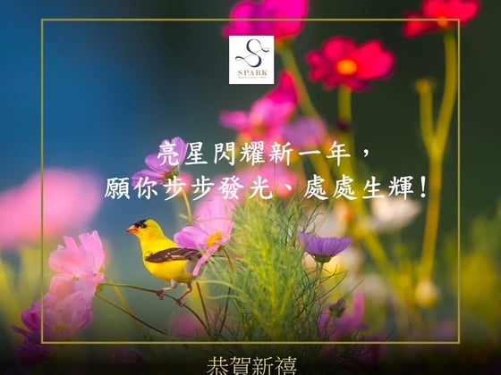 Shining Bright This Lunar New Year